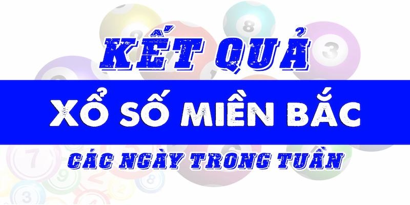 Hướng dẫn xem kết quả trên tấm vé số